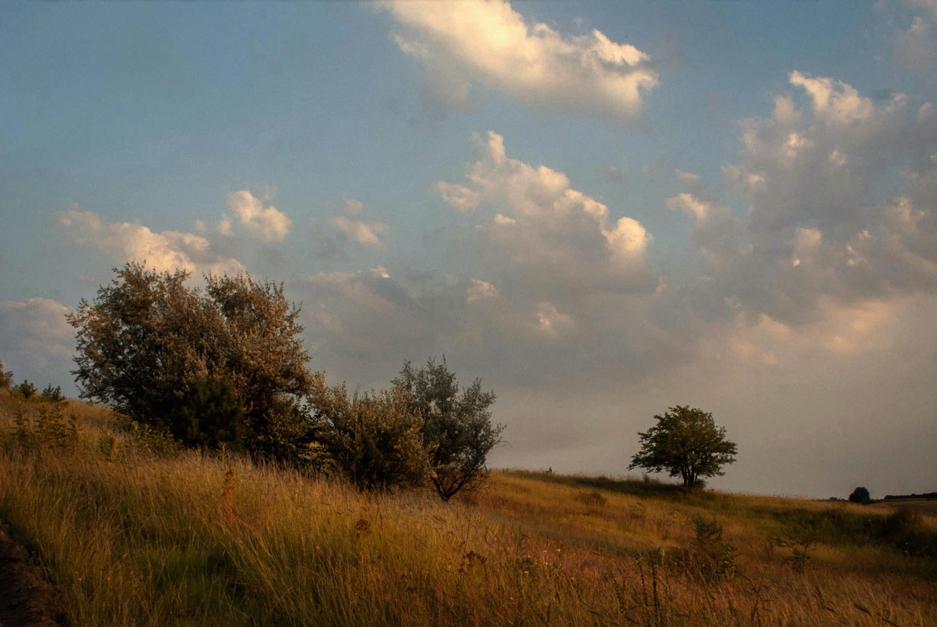 Paisaje de un campo