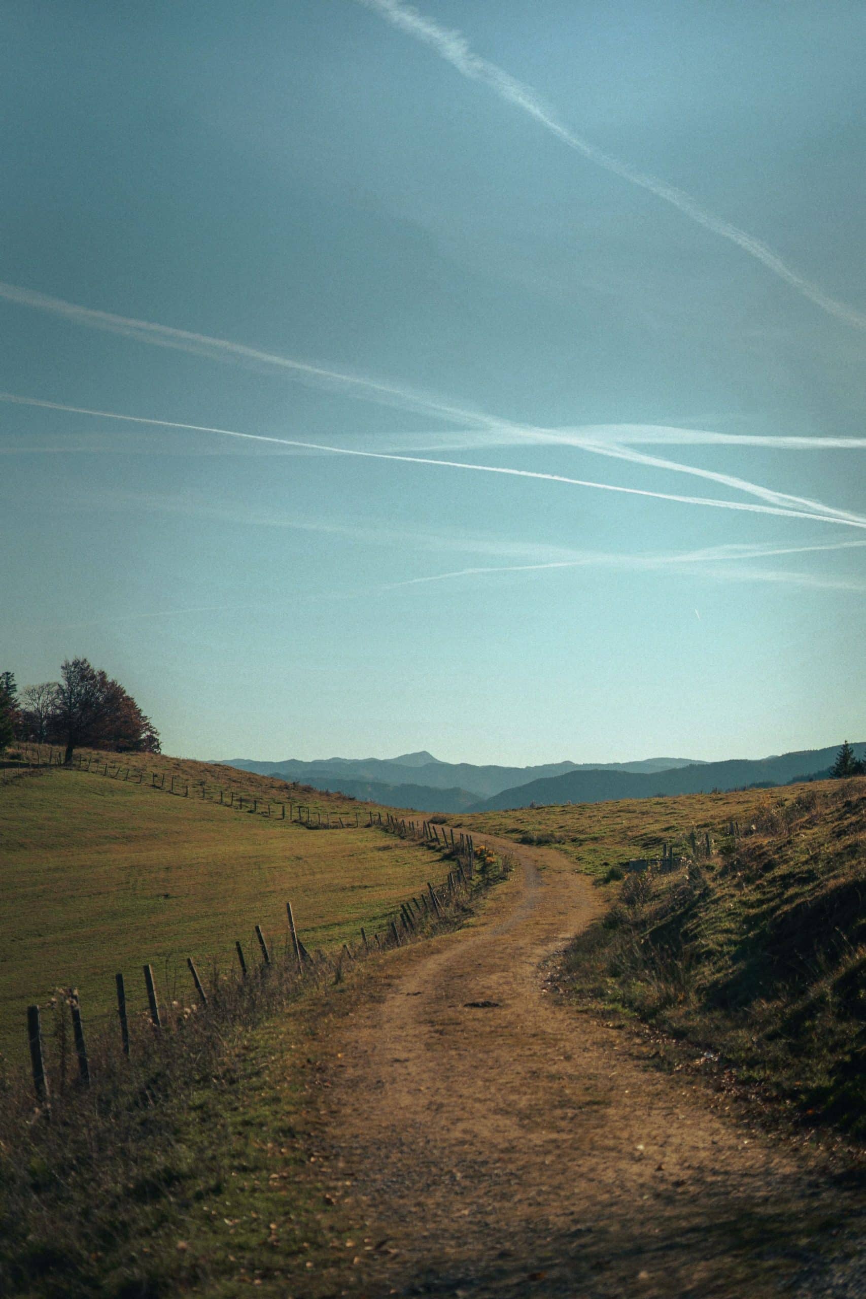 Un camino de campo, con las montañas de fondo
